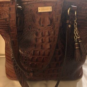 Pecan Brahmin Medium